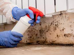 How Mold Removal In Naples FL Helps To Get Rid Of Black Mold