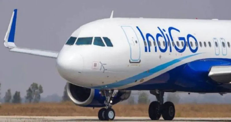 Indigo Airline In Trouble
