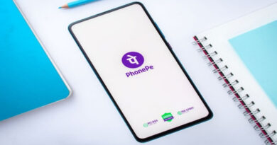 Singapores Phonepe Is Now An Indian Company