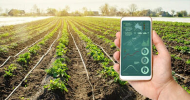 Pepsico India Has Prepared A Mobile App Regarding Potato Cultivation