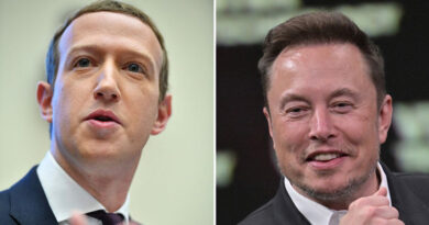 Elon Musk Vs Mark Zuckerberg Fight Will Be Live Streaming