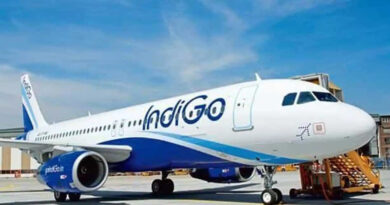 Indigo 1