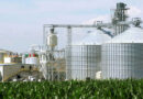 Big Step In Ethanol Production, Grainspan Sets Up Two Plants In Gujarat, Invests So Many Hundred Crores