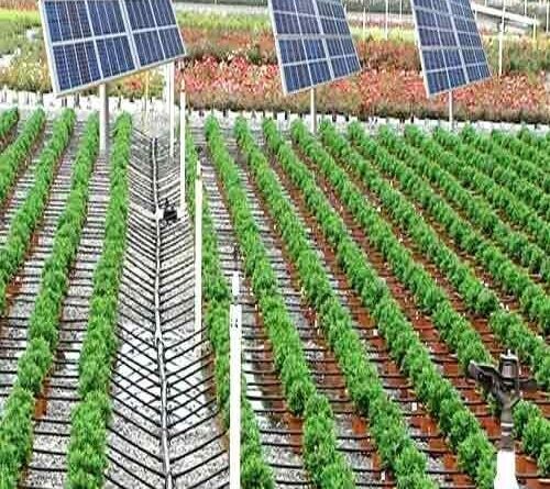 Solar Irrigation Pump0