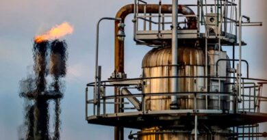 Indian companies stop placing orders for Russian oil