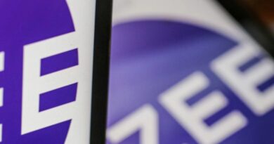 Regulatory suspense weighs heavily on Zees valuation leaving investors stranded