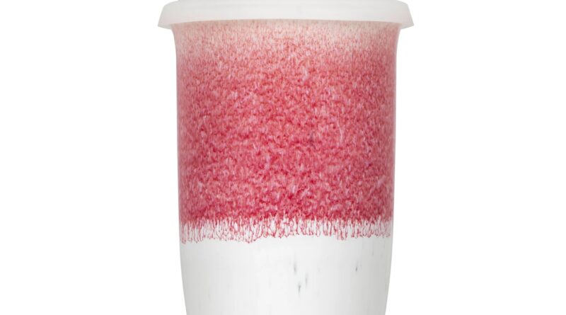 imgi 111 CoralPink16ozPackShotLid 2048x